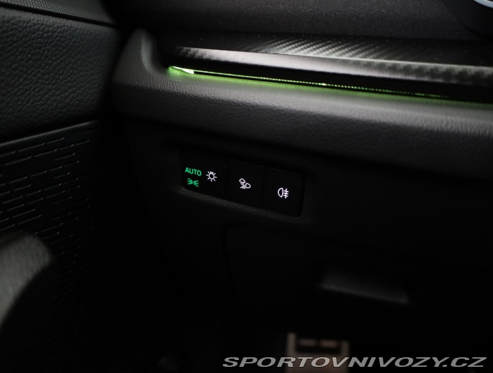 Škoda Octavia RS RS RS 2.0 TSI 2025