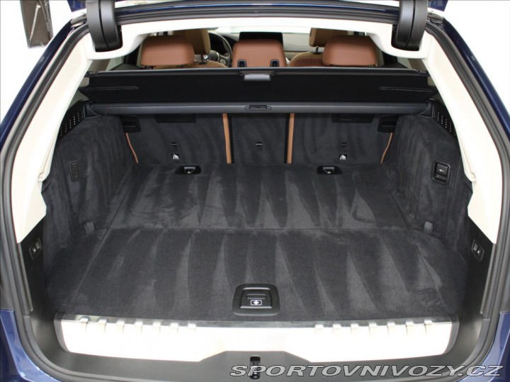 BMW 5 2,0 530e xDrive Luxury Pa 2021