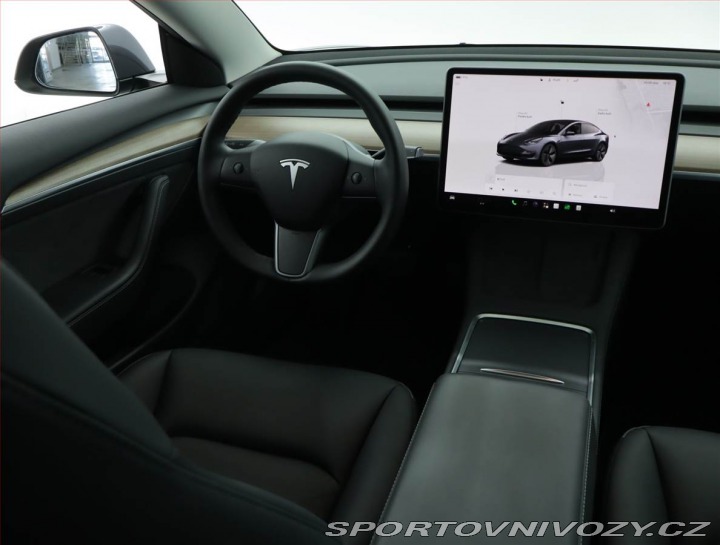Tesla Model 3 Standard Range LFP, SoH 9 2022