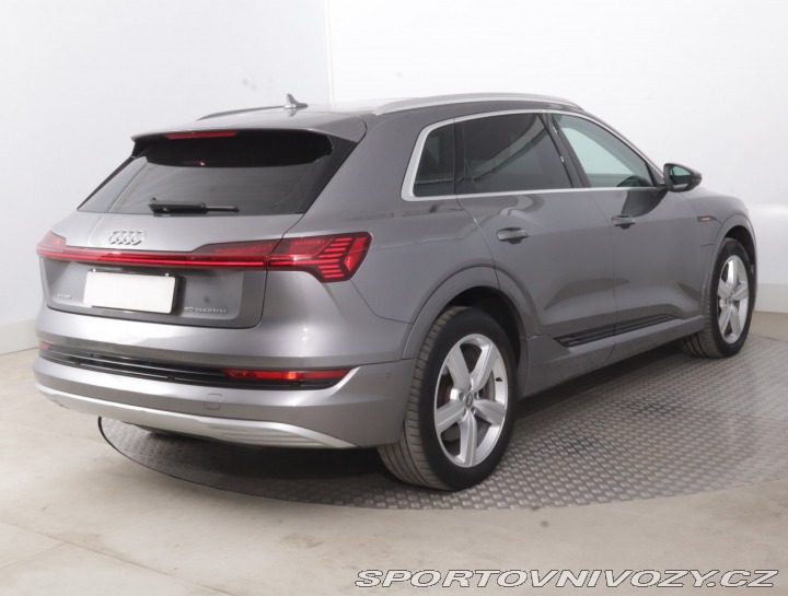 Audi Ostatní modely e-tron  e-tron 50 quattro 2019
