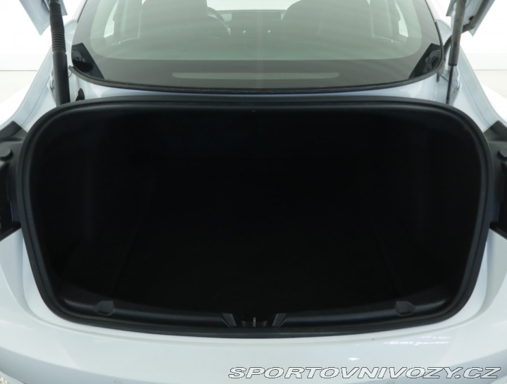 Tesla Model 3 Performance 82kWh 2021