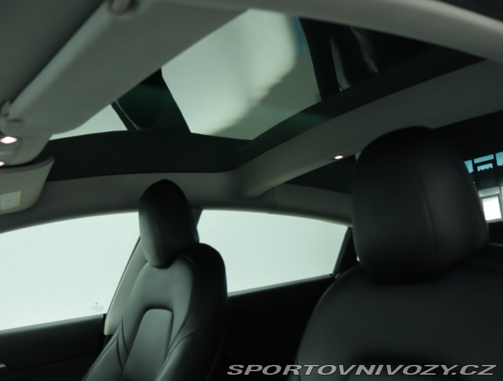 Tesla Model 3 Performance 82kWh 2021