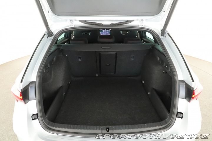 Škoda Octavia RS RS RS 2.0 TSI 2025