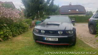 Ford Mustang  2010