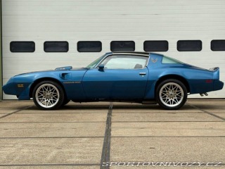 Pontiac Firebird Trans Am 1981
