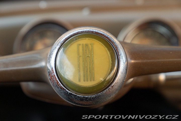 Fiat Ostatní modely 1100 VIOTTI GIARDINETTA 1954