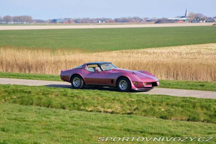 Chevrolet Corvette C3 1980