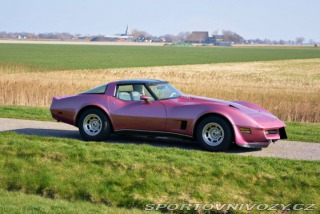 Chevrolet Corvette C3 1980