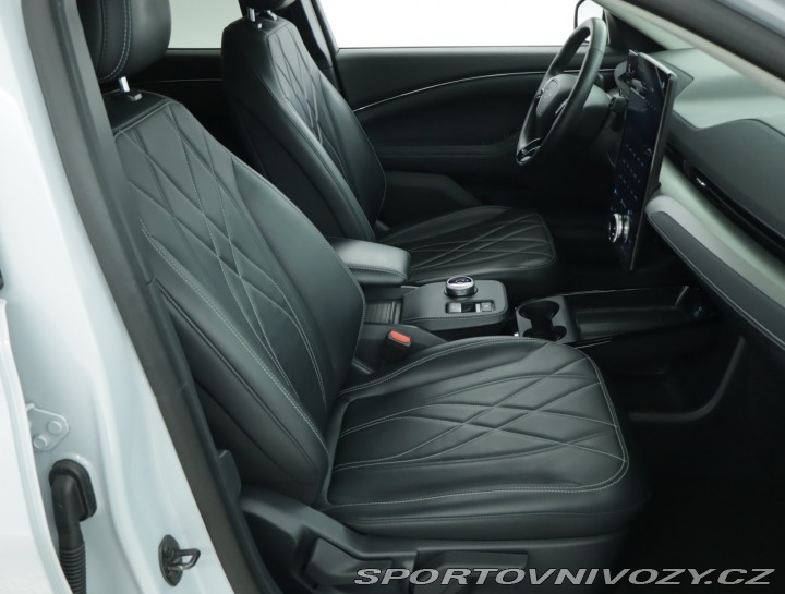 Ford Mustang Mach-E Standard Range RW 2021