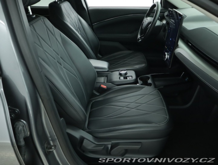 Ford Mustang Mach-E Standard Range RW 2021