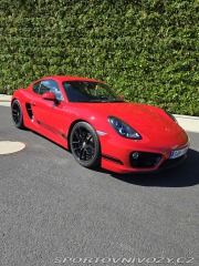 Porsche Cayman 981 2014