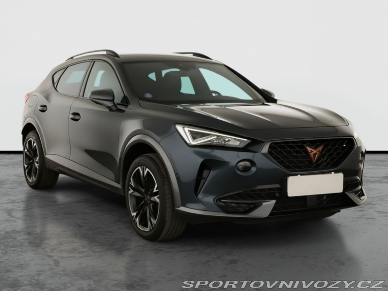 Cupra Formentor 2.0 TSI 4Drive