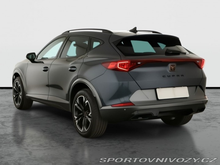 Cupra Formentor 2.0 TSI 4Drive 2021