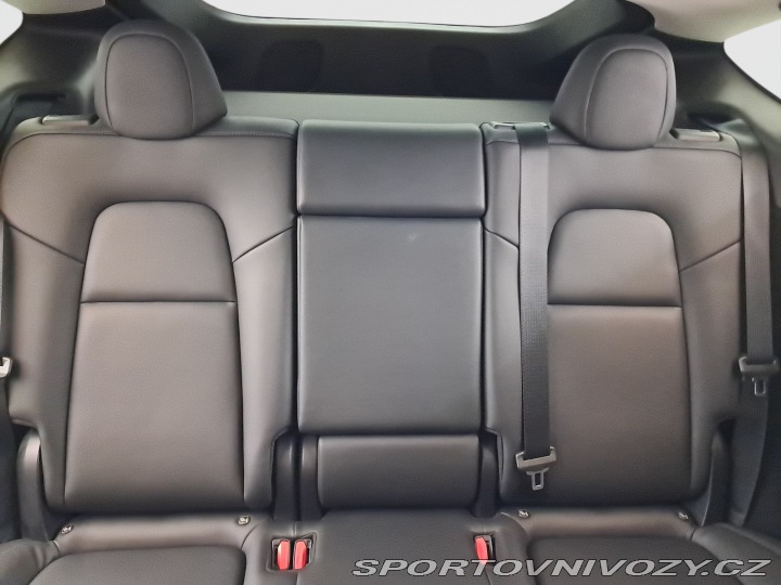 Tesla Model Y Performance 79kWh 2022