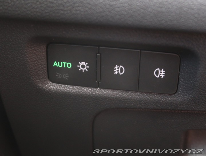 Škoda Octavia RS RS RS 2.0 TSI 2023