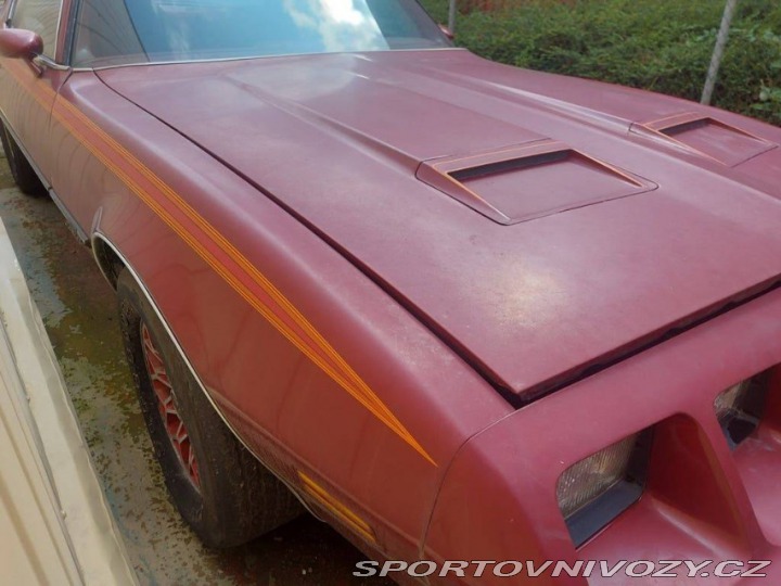 Pontiac Firebird Formula 1979