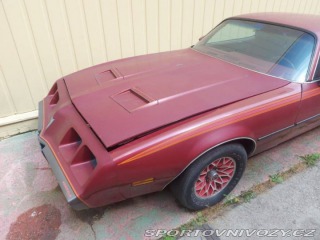Pontiac Firebird Formula 1979