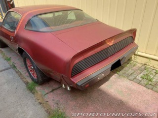 Pontiac Firebird Formula 1979