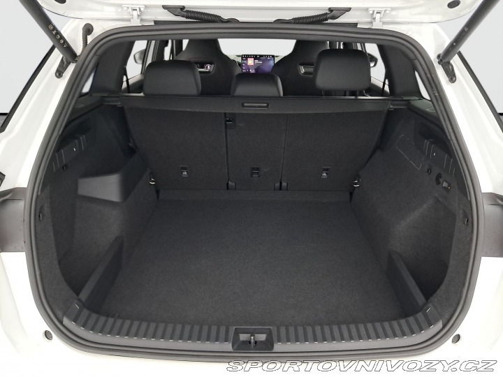 Škoda Kodiaq RS RS RS 2.0 TSI 2025