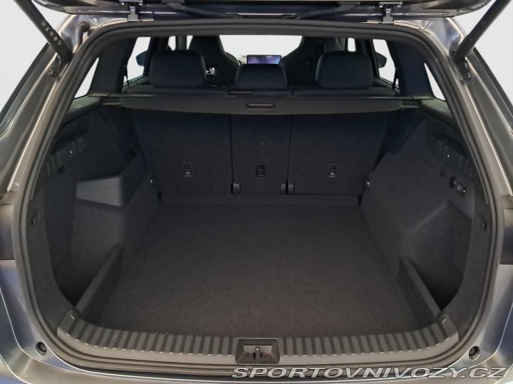 Škoda Kodiaq RS RS RS 2.0 TSI 2025