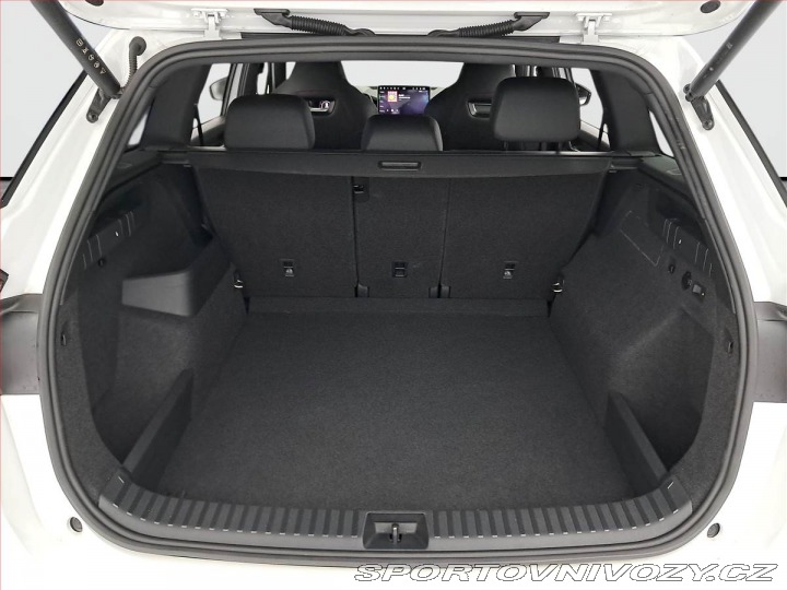 Škoda Kodiaq RS RS 2.0 TSI 2025