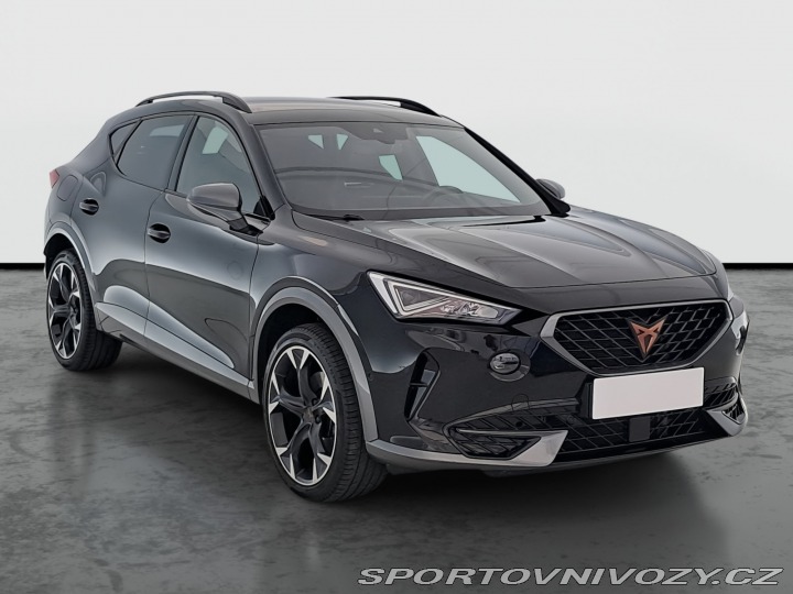 Cupra Formentor 2.0 TSI 4Drive 2022