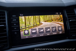 Škoda Kodiaq RS 2.0 TDI RS 4x4 DSG / 176 2019