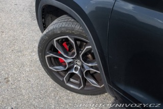 Škoda Kodiaq RS 2.0 TDI RS 4x4 DSG / 176 2019