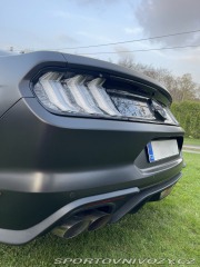 Ford Mustang 5.0 V8 GT Magneride, EU 2021