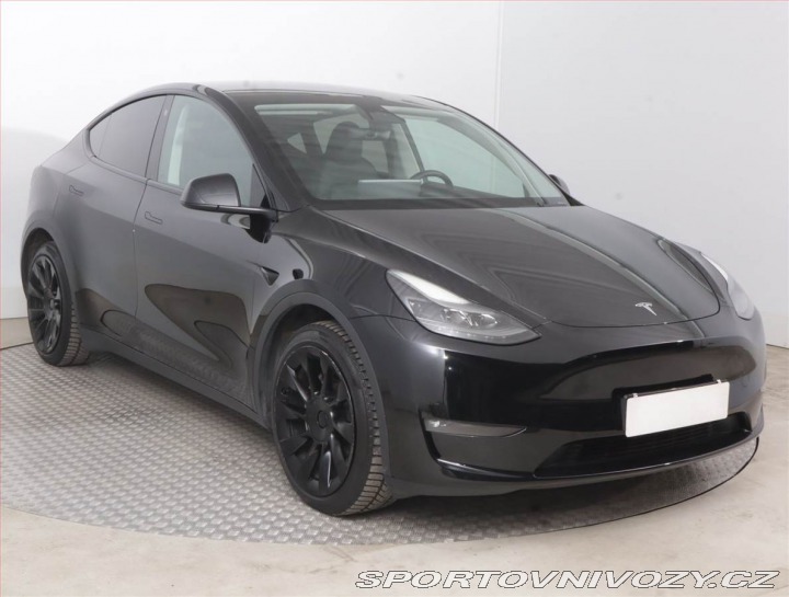 Tesla Model Y Long Range AWD 79kWh, SoH 2023