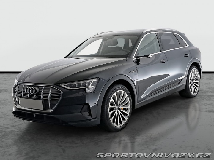 Audi Ostatní modely e-tron  e-tron 55 quattro 2019