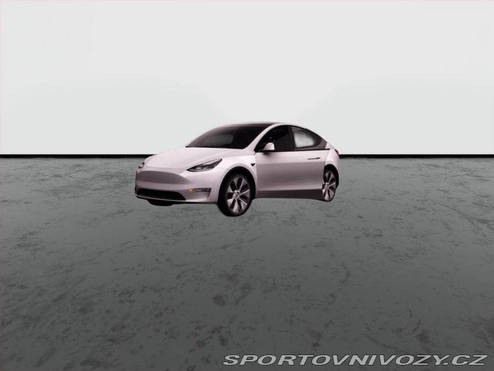 Tesla Model Y Long Range AWD 79kWh, SoH 2023