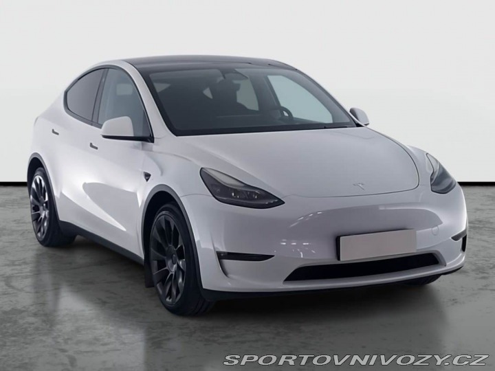 Tesla Model Y Long Range AWD 79kWh, SoH 2023
