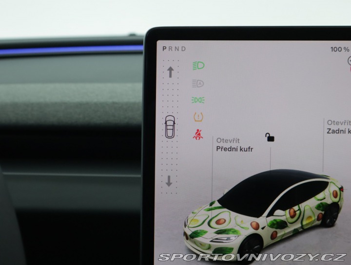 Tesla Model 3 Standard Range LFP 2023