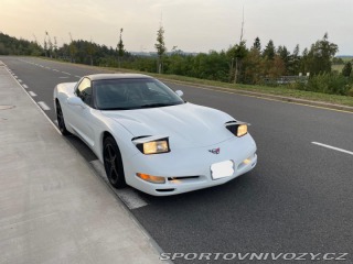 Chevrolet Corvette C5 Targa 5,7 2003