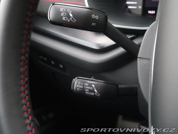 Škoda Octavia RS RS RS 2.0 TSI 2024