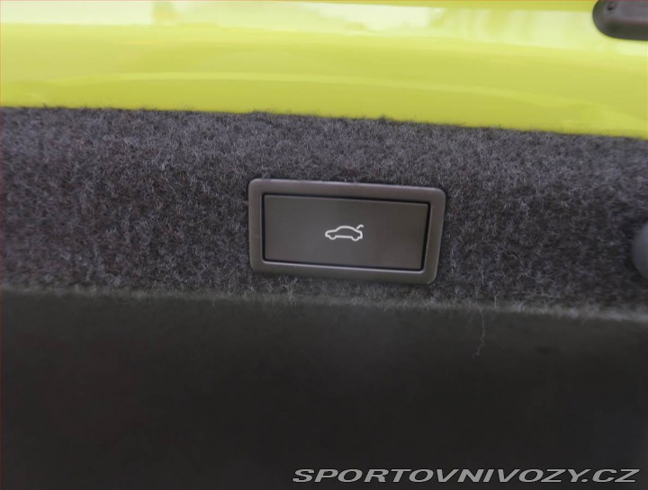 Škoda Octavia RS RS 2.0 TSI 2024