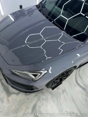 Cupra Leon SP VZ310 2022