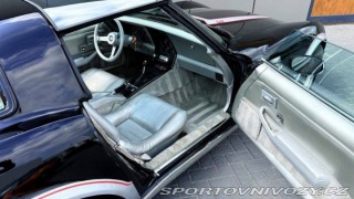 Chevrolet Corvette Pace Car - Anniversary Edition 1978