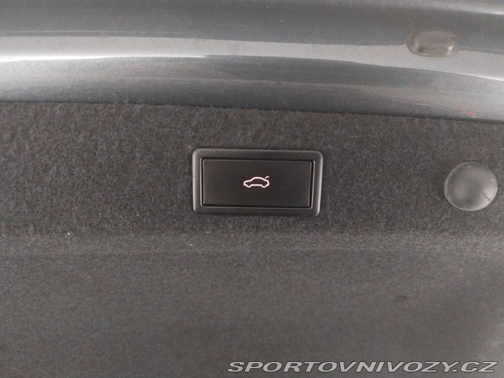 Škoda Octavia RS RS RS 2.0 TDI 4x4 2021