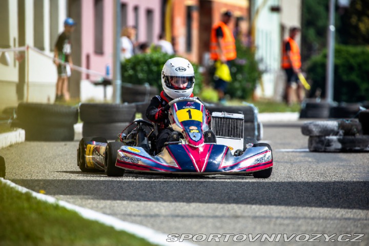 Motokára Ostatní modely OTK Rotax Max Senior 125 1800