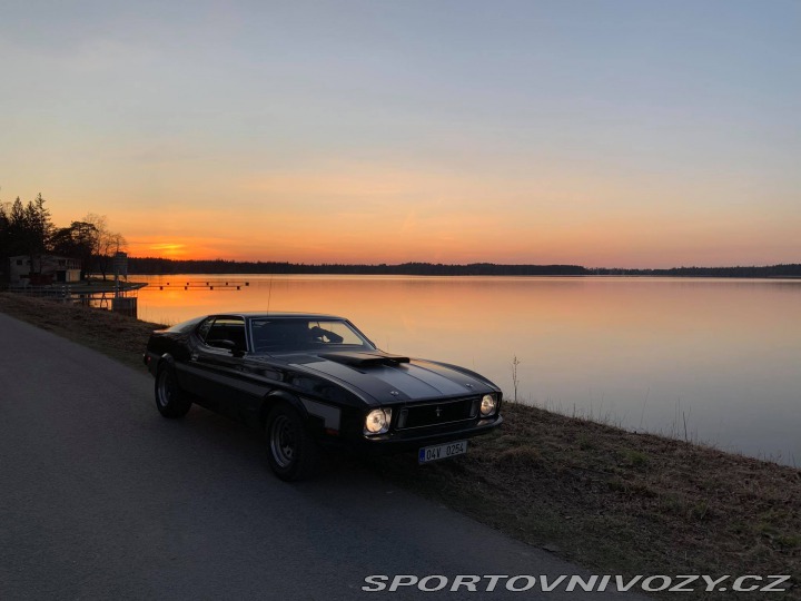Ford Mustang Mach1 Fastback Cobra Jet 1973