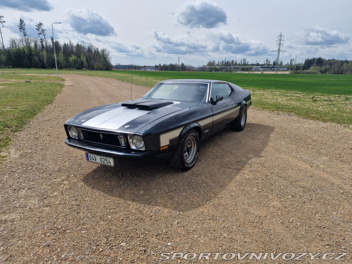 Ford Mustang Mach1 Fastback Cobra Jet 1973