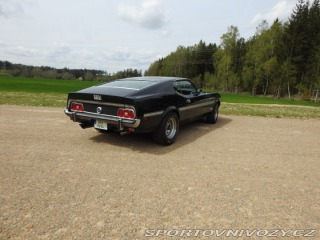 Ford Mustang Mach1 Fastback Cobra Jet 1973