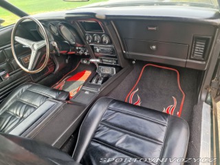 Ford Mustang Mach1 Fastback Cobra Jet 1973