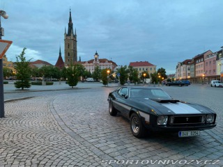 Ford Mustang Mach1 Fastback Cobra Jet 1973