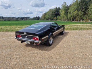 Ford Mustang Mach1 Fastback Cobra Jet 1973