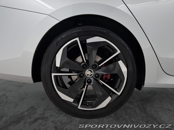 Škoda Octavia RS RS RS 2.0 TDI 2023