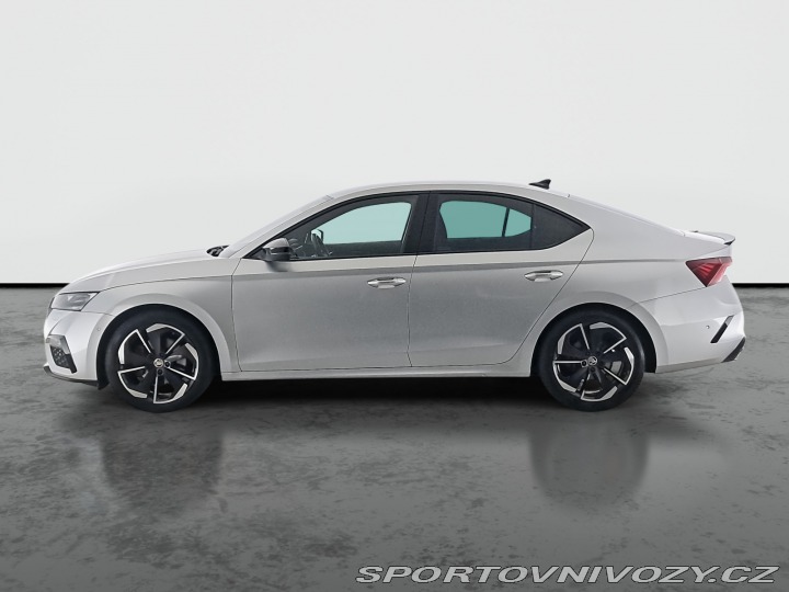 Škoda Octavia RS RS RS 2.0 TDI 2023