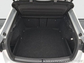Škoda Octavia RS RS RS 2.0 TDI 2023